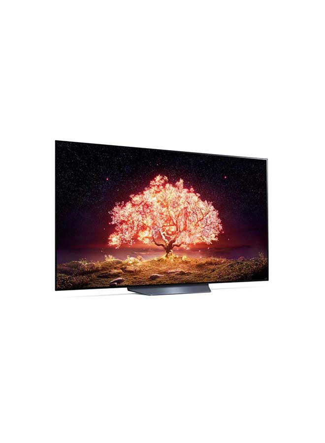 65-Inch B1 Series OLED TV OLED65B1PVA-AMAG Black