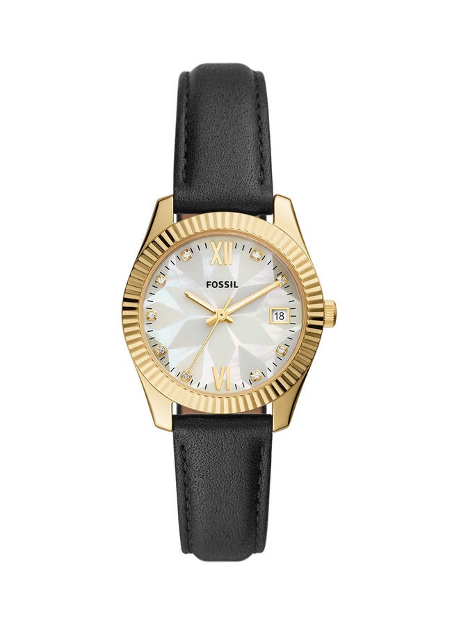 FOSSIL Women's Watch 