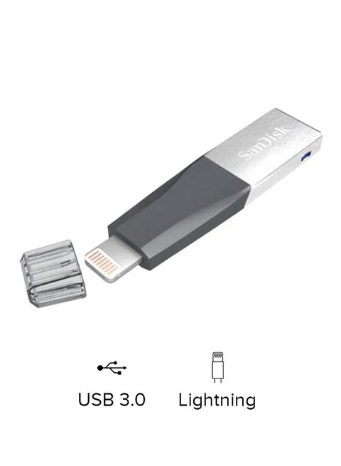iXpand Mini Fash Drive SDIX40N  For iPhone iPad And Computers 256 GB