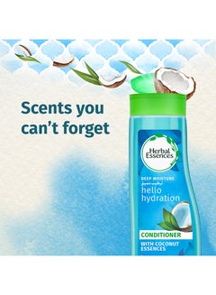 Hello Hydration Moisturizing Conditioner With Coconut Essences 360ml - v1669222961/N11265618A_3