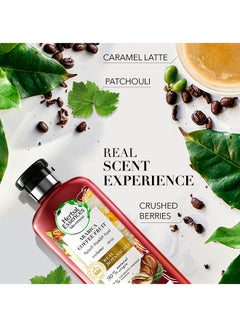 Herbal Essences Bio:Renew Volume Arabica Coffee Fruit Conditioner 400ml - v1669222978/N13098144A_4