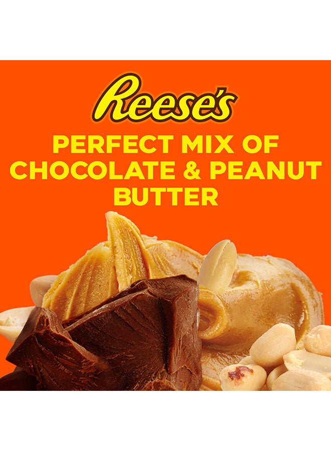 Reese's - Chocolate Peanut Butter Nut Bar 47grams - Image 1