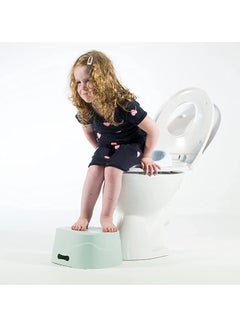 Potty Training Seat - v1669641748/N35300302A_8