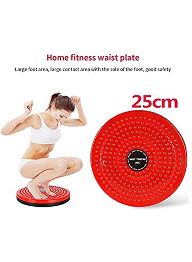 HIGHFLY Waist Twisting Disc 25x3cm  - Image 4