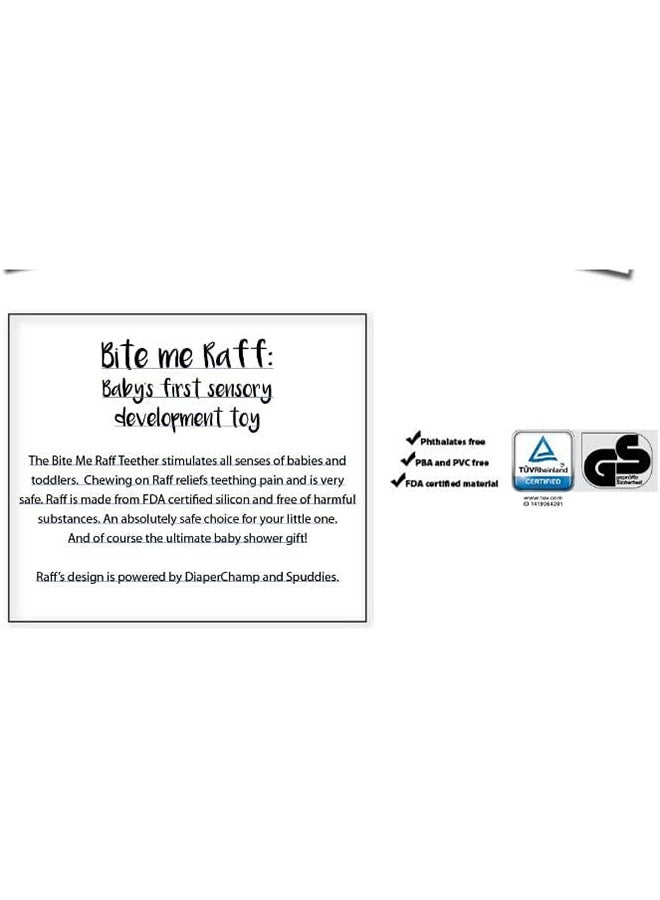 Diaper Champ Flexible Teether - 6 Months - Image 5