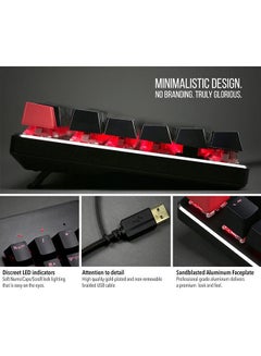 جلوريوس لوحة مفاتيح الألعاب الميكانيكية Glorious Modular - TKL (مُصممة مسبقًا) - بني  - Image 5