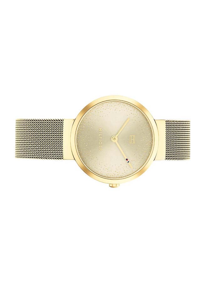 TOMMY HILFIGER - Women's Libby Champagne Dial Watch - 1782487 - Image 1