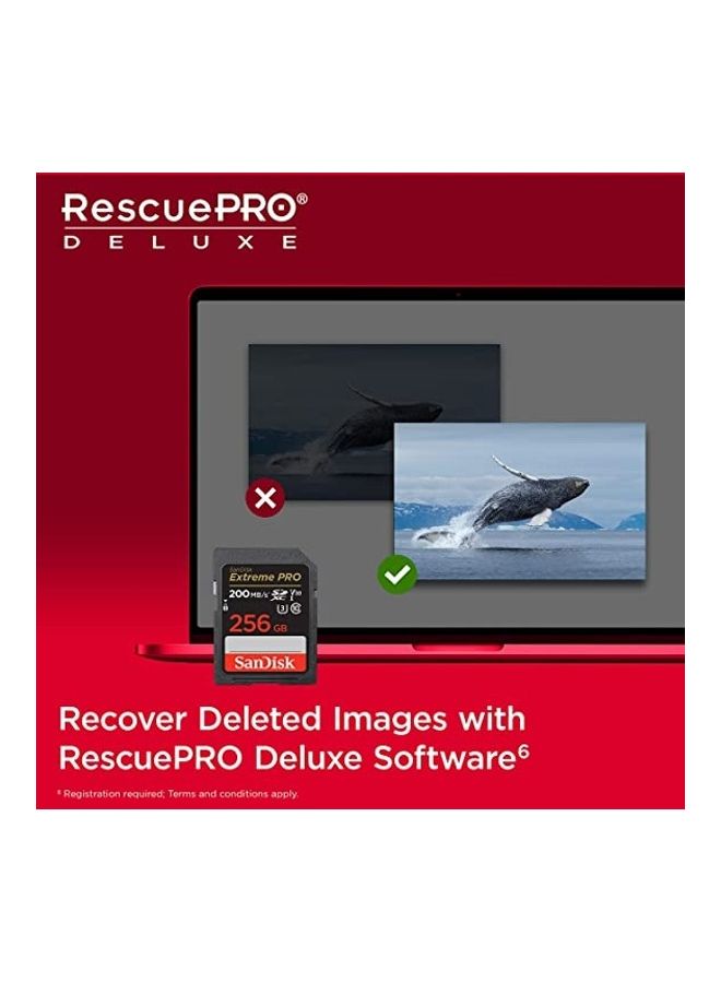 Sandisk - Extreme PRO SDXC card + RescuePRO Deluxe, up to 200MB/s, UHS I, Class 10, U3, V30 SDSDXXD 256G GN4IN 256 GB - Image 1