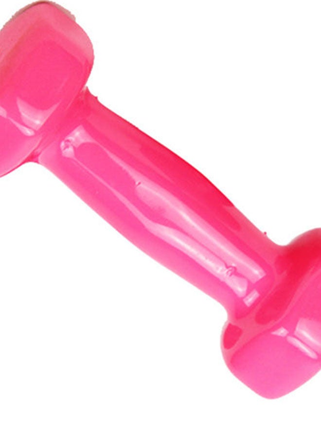 HIGHFLY Vinyl Coated Dumbbell | 2 KG (Single) 2kg - Image 1