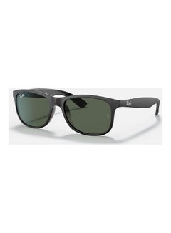 Andy Black Sunglasses - RB4202 ANDY 6069/71 55-17 145 3N