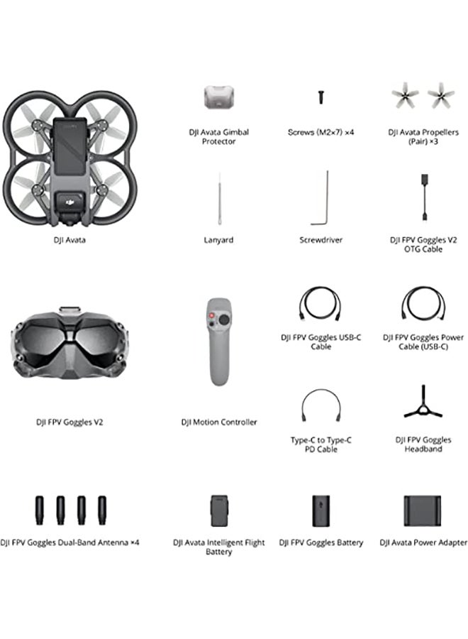 Avata Fly Smart Combo (نظارة DJI FPV V2)