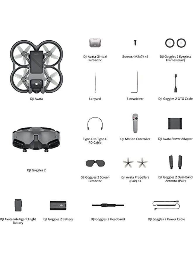 Avata Pro-View Combo