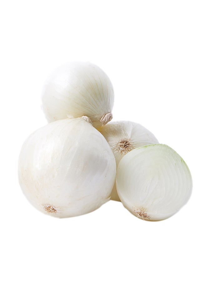 Generic - White Onion Spain 0.9-1kg - Image 1