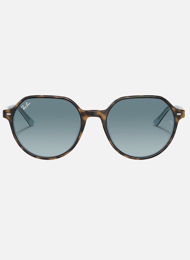 راي بان نظارات شمسية ثاليا - Rb2195 1316/3M 51-18 145 2N - Image 1