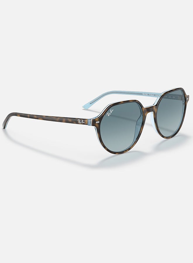 راي بان نظارات شمسية ثاليا - Rb2195 1316/3M 51-18 145 2N - Image 3