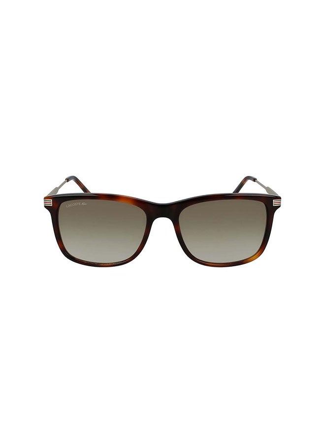 LACOSTE - Men's Full Rim ZYL Modified Rectangle Sunglasses  L960S-230-5618 - Image 1