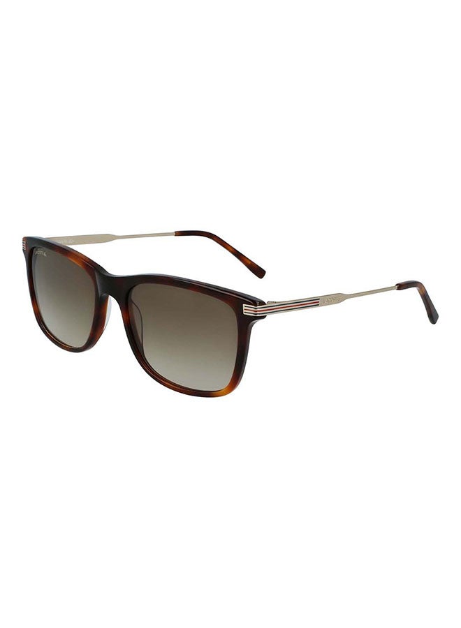 LACOSTE - Men's Full Rim ZYL Modified Rectangle Sunglasses  L960S-230-5618 - Image 1