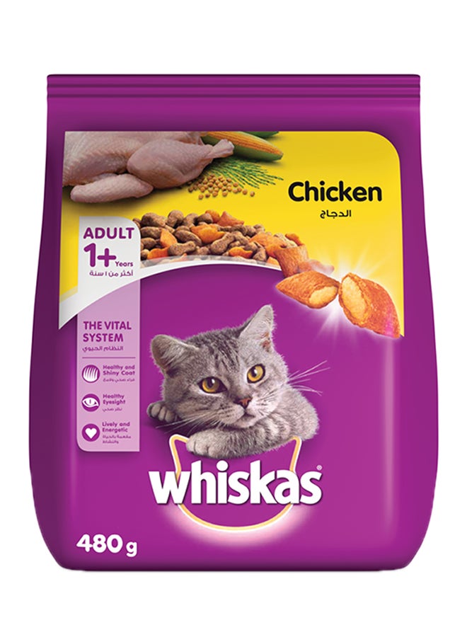 Chicken Dry Cat Food Bag 480grams - v1674499725/N14503839A_1