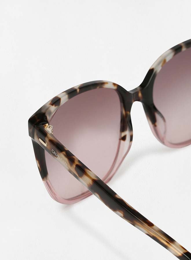 CALVIN KLEIN - Women's Tortoiseshell Frame Sunglasses - Image 1