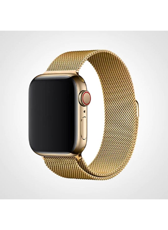 Replacement  Band For Apple Watch 42mm Gold - v1674821306/N12708910A_2