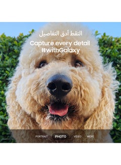 سامسونج هاتف Galaxy S23 plus 5G ثنائي الشريحة بلون أسود فانتوم وذاكرة وصول عشوائي (RAM) سعة 8 جيجابايت ومساحة تخزين داخلية 256 جيجابايت - إصدار الشرق الأوسط  - Image 5