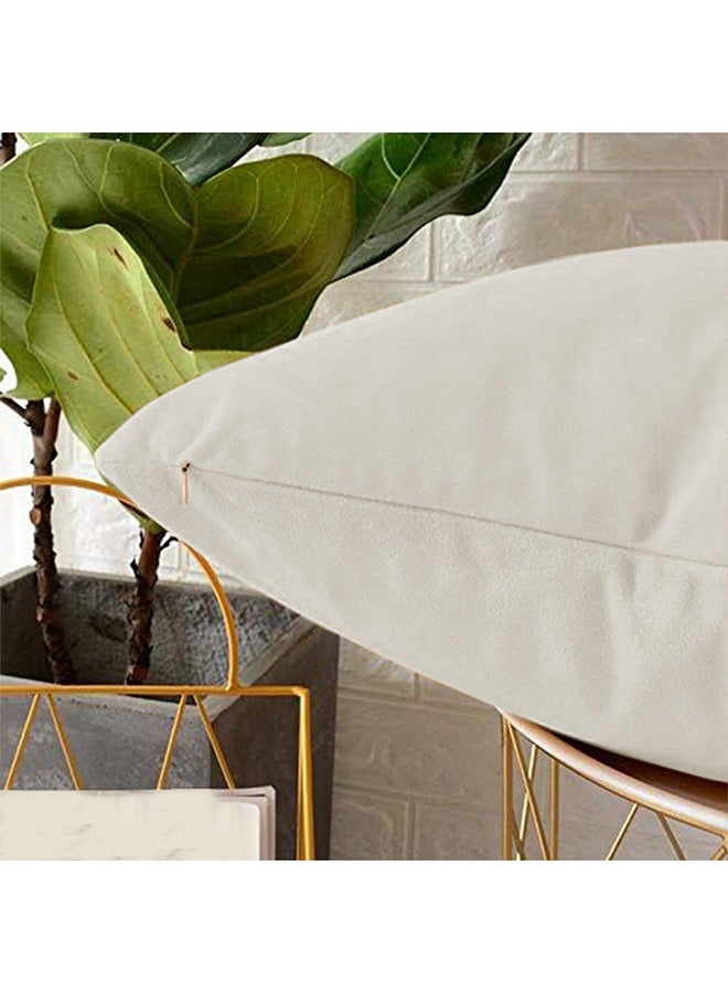 REGAL IN HOUSE - 2 Pieces Velvet Soft Decorative Cushion Set Solid Design velvet Ivory 45 x 45cm - Image 1