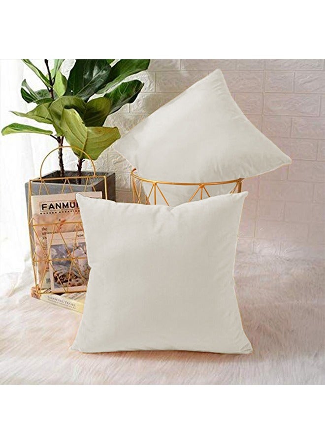 REGAL IN HOUSE - 2 Pieces Velvet Soft Decorative Cushion Set Solid Design velvet Ivory 45 x 45cm - Image 1