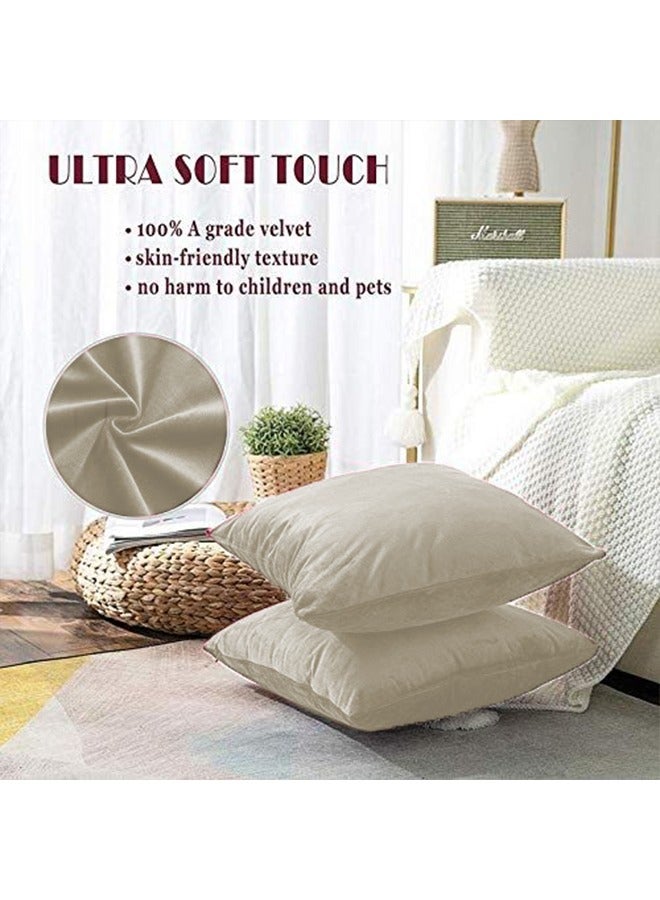 REGAL IN HOUSE - 2 Pieces Velvet Soft Decorative Cushion Set Solid Design velvet Ivory 45 x 45cm - Image 1