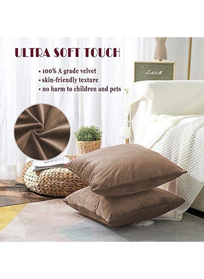 4 Pieces Velvet Soft Decorative Cushion Set Solid Design velvet Beige 45x45cm - v1675177455/N32902299A_4