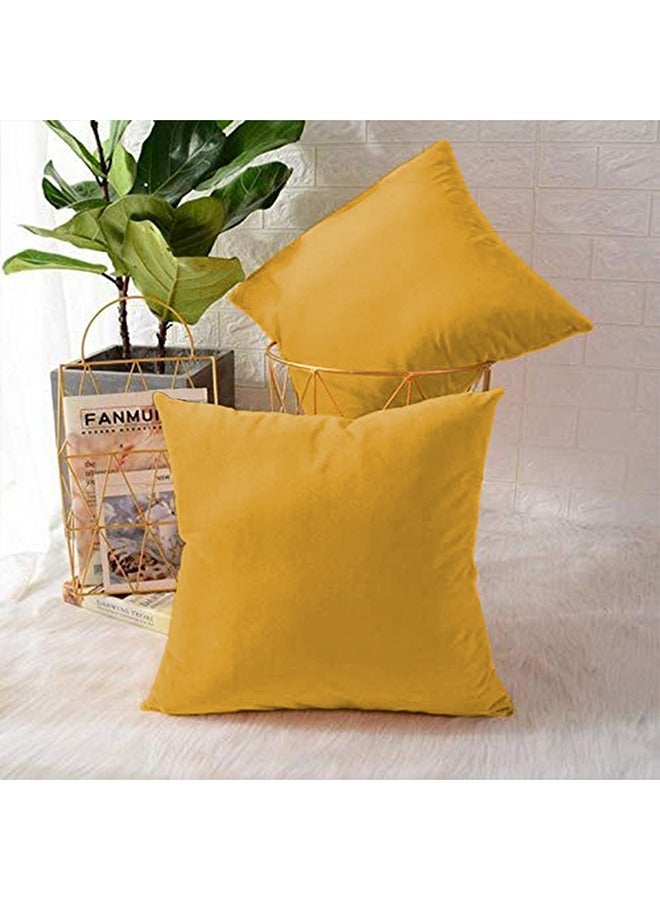 ريغال إن هاوس طقم وسائد ديكور عدد 4 مربعة الشكل مخملية ناعمة بتصميم سادة polyester زهري غامق 45x45سم  - Image 2