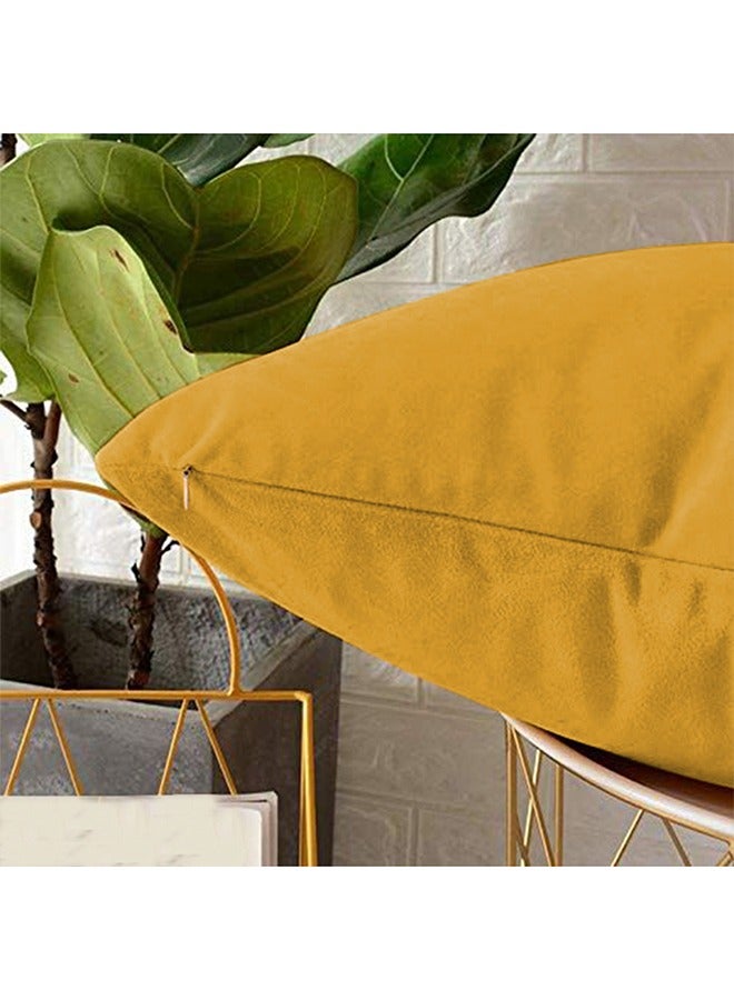 ريغال إن هاوس طقم وسائد ديكور عدد 4 مربعة الشكل مخملية ناعمة بتصميم سادة polyester زهري غامق 45x45سم  - Image 3