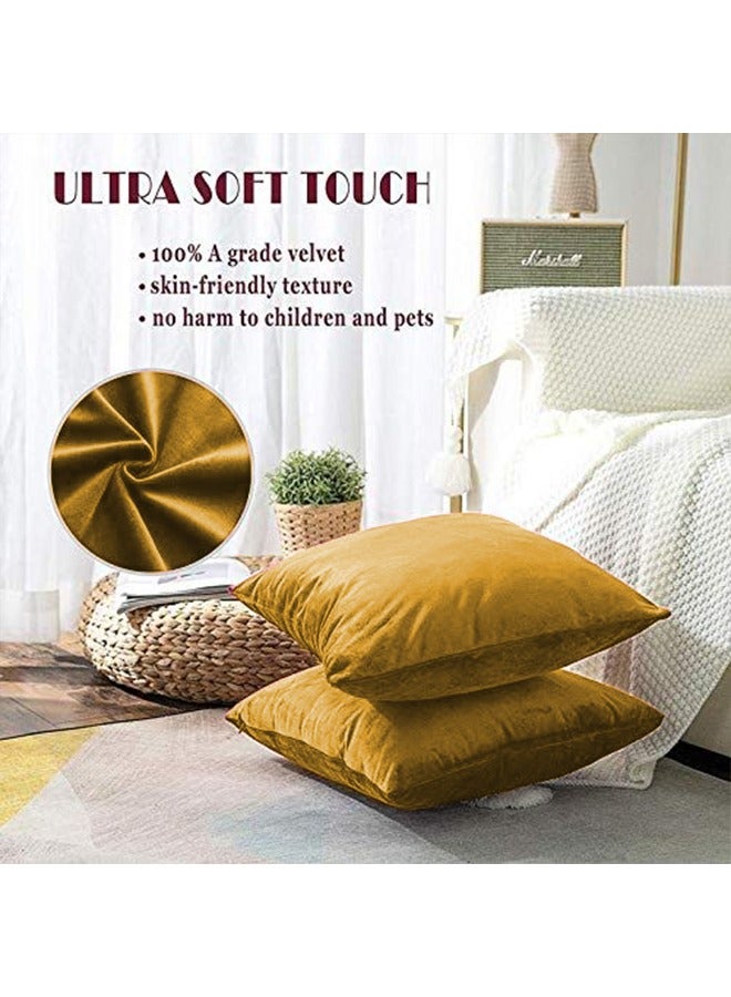 ريغال إن هاوس - طقم وسائد ديكور عدد 4 مربعة الشكل مخملية ناعمة بتصميم سادة polyester ذهبي 45x45سم - Image 1