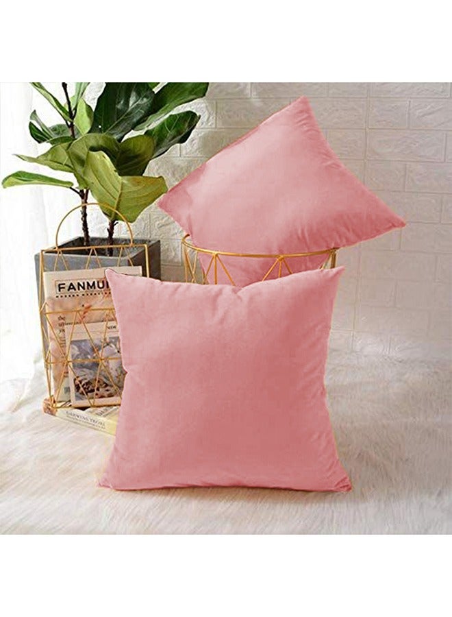 REGAL IN HOUSE - 4 Pieces Velvet Soft Decorative Cushion Set Solid Design polyester Light Pink 45x45cm - Image 1