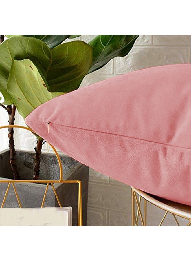 REGAL IN HOUSE - 5 Pieces Velvet Soft Decorative Cushion Set Solid Design Velvet Light Pink 45 x 45cm - Image 1