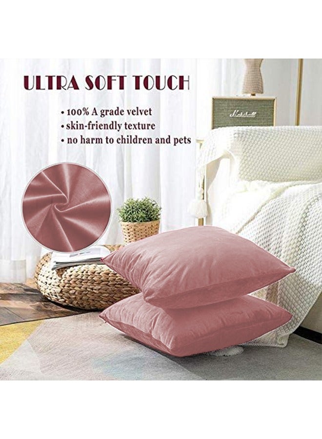 REGAL IN HOUSE - 5 Pieces Velvet Soft Decorative Cushion Set Solid Design Velvet Light Pink 45 x 45cm - Image 1