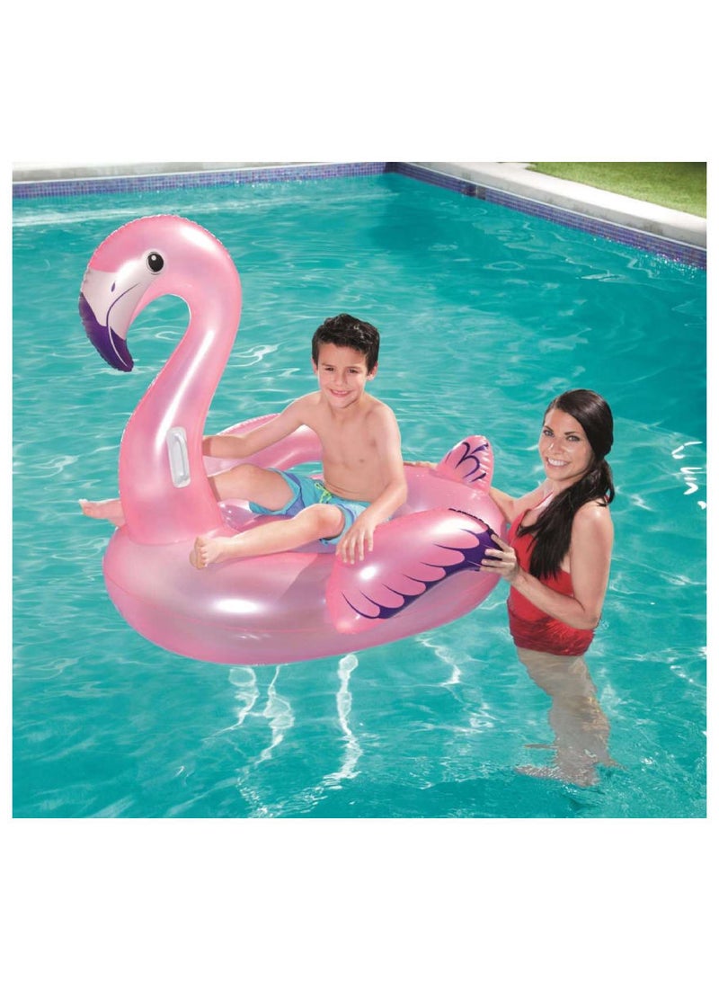 Flamingo 26-41122 127x127cm