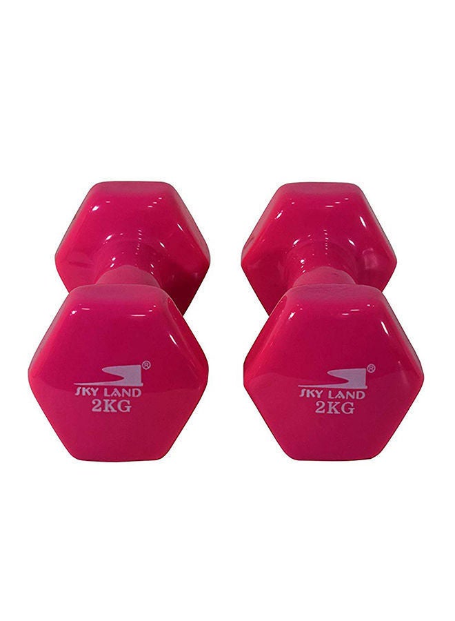Sky Land Vinyl 2-Piece Fitness Dumbell Set Pink 2 x 2kg - Image 1