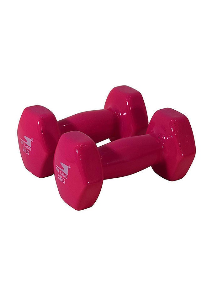Sky Land Vinyl 2-Piece Fitness Dumbell Set Pink 2 x 2kg - Image 2