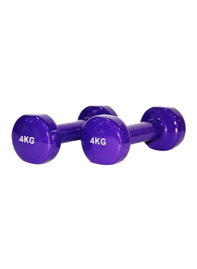 Sky Land Set Of 2 Classical Head Vinyl Dumbell 4kg - Image 1