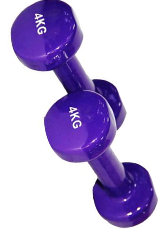 Sky Land Set Of 2 Classical Head Vinyl Dumbell 4kg - Image 2