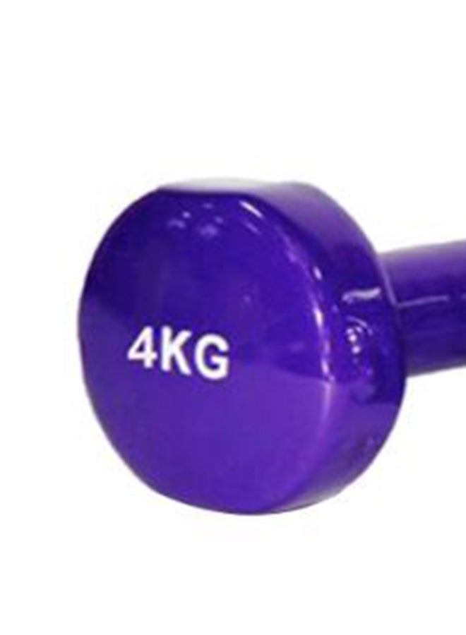 Sky Land Set Of 2 Classical Head Vinyl Dumbell 4kg - Image 5