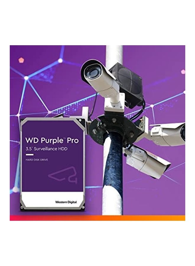 دبليو دي - محرك الأقراص الصلبة الداخلي SATA Purple Pro بسعة 256 ميجابايت - Image 1