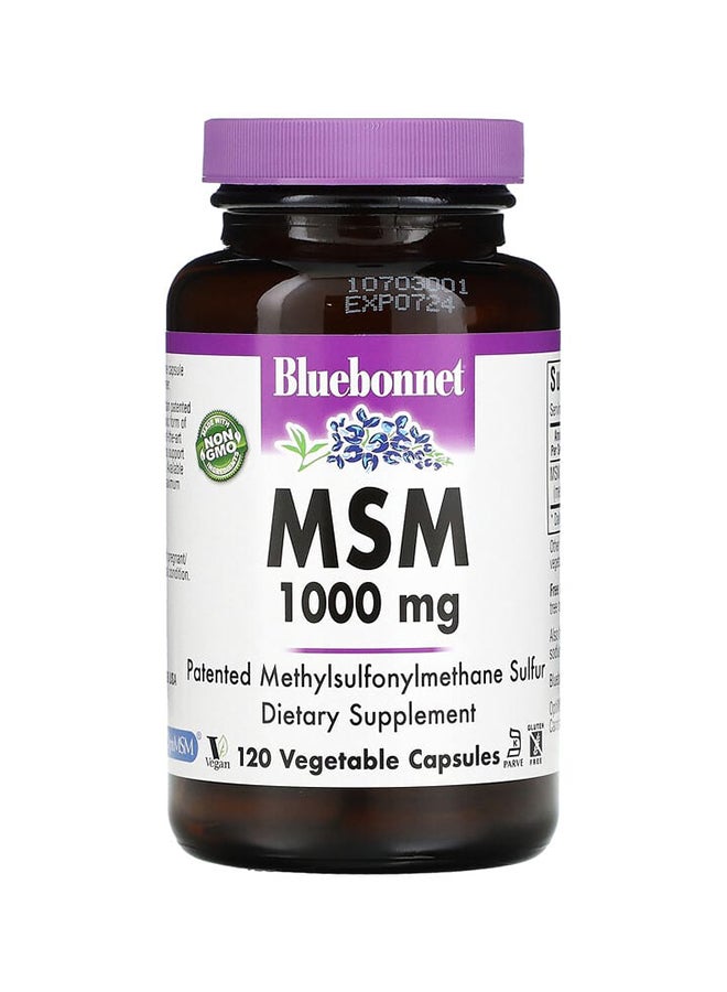 MSM Dietary Supplement - 120 Veggie Capsules 1,000 mg - v1676963018/N36649080A_1