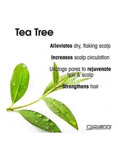 Giovanni Tea Tree Triple Teat Invigorating Shampoo For All Hair Types 250ml  - Image 2
