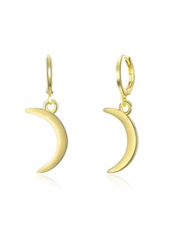 Fashion Ladies Earrings Ake225
