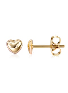 Fashion Ladies Earrings Ake247B