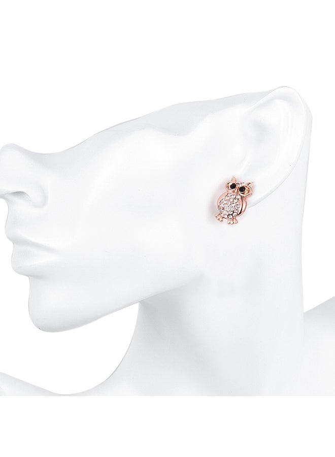 SKMEI - Fashion Ladies Earrings Ake033 - Image 1