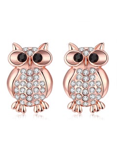 Fashion Ladies Earrings Ake033