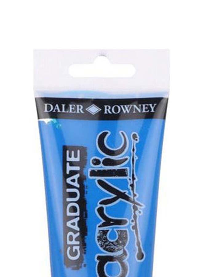 Daler Rowney 123120603 Acrylic Color Tube, Primary Yellow - 120 Ml Blue - Image 4
