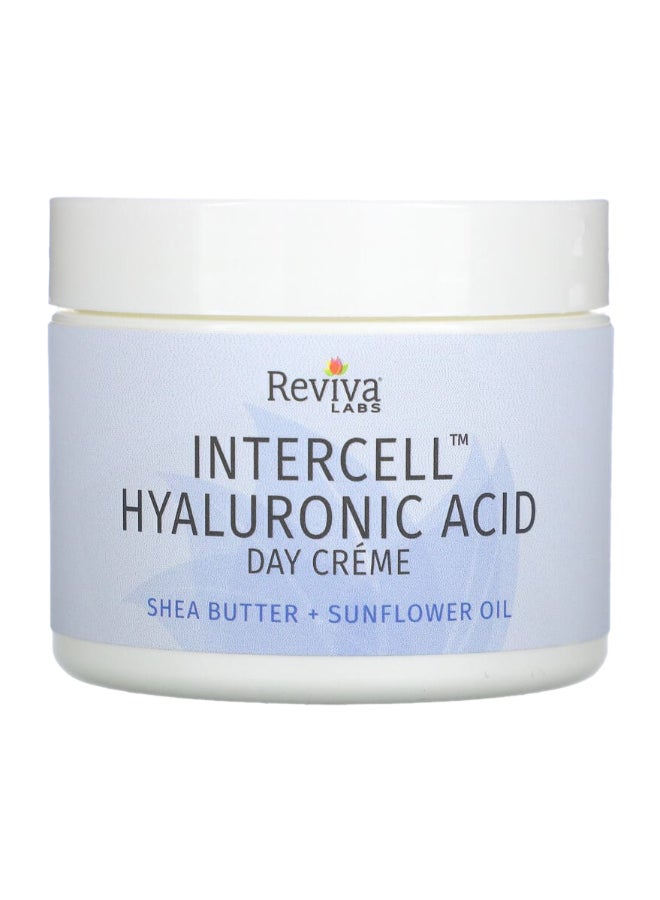 Reviva Labs Intercell Hyaluronic Acid Day Cream - Image 1